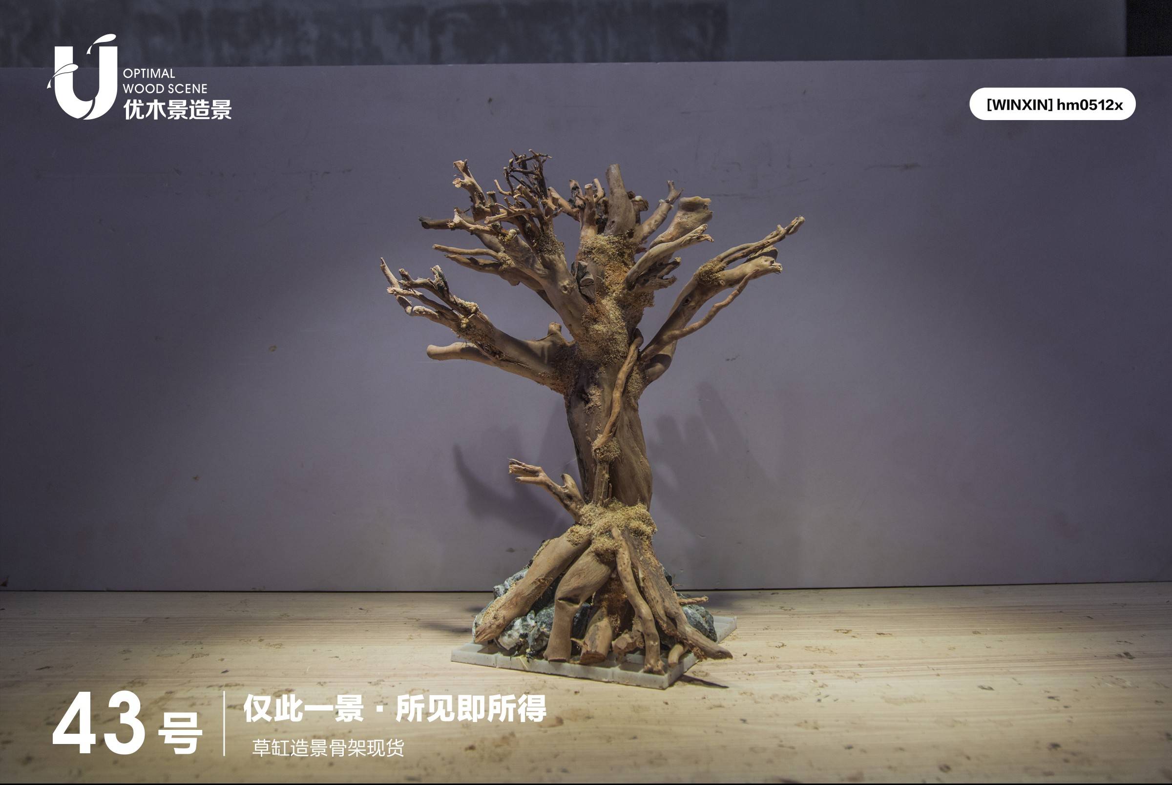 草缸造景骨架紫柚木杜鹃根沉木迎客松巴西树莫斯树造景骨架