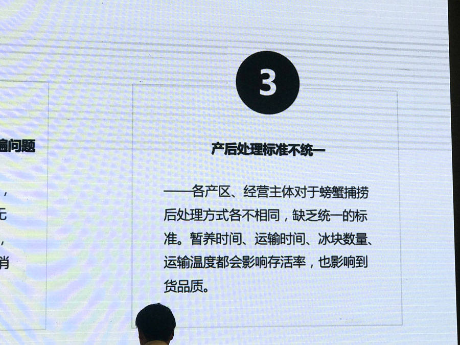 消息资讯|拒当“洗澡蟹” 借势拼多多 太湖蟹、洪泽湖蟹等“长三角蟹”要为自己正名