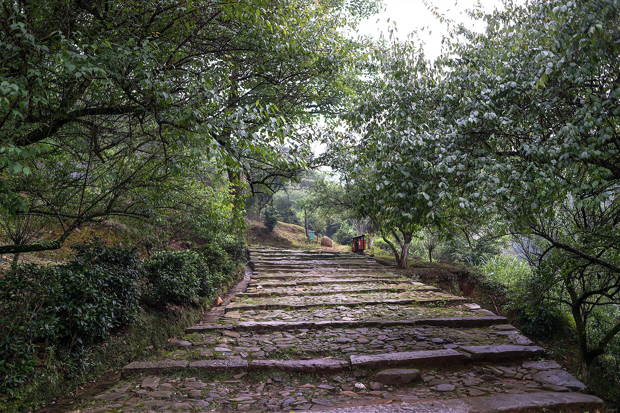 2020北京路千年古道遗址-旅游攻略-门票-地址-问答-游记点评，广州旅游旅游景点推荐-去哪儿攻略