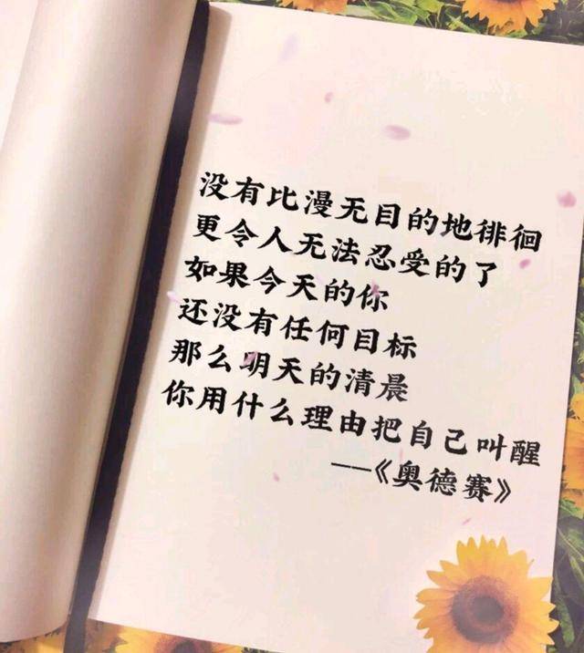 6334ed740d4b4b5e901a18f7debd8703.jpeg