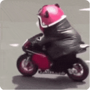 微信斗图:可爱小女孩捂脸表情包