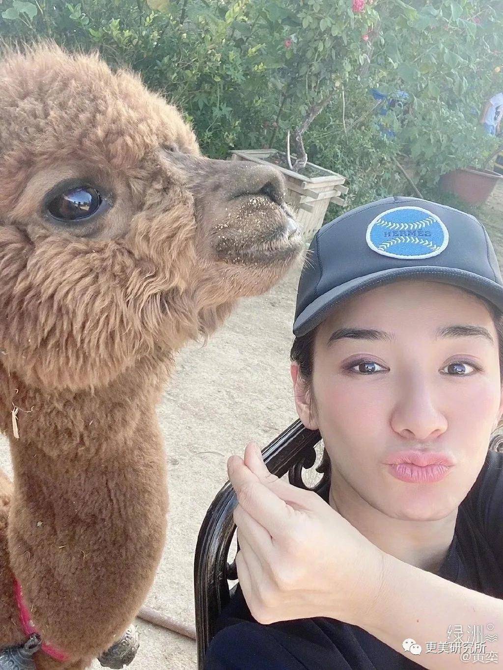 郭碧婷|比奚梦瑶、郭碧婷都惨的“豪门弃妇”，43岁颜值回春、好会do！