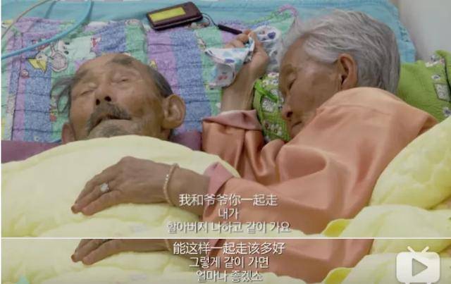 《亲爱的,不要跨过那条江》无数人泪流满面