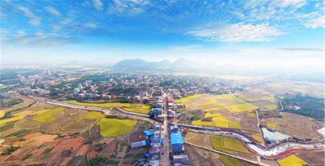 泰和GDP_泰和乌鸡(2)