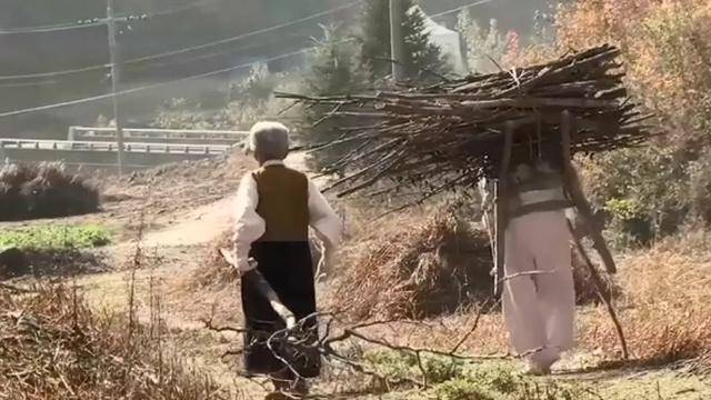 《亲爱的,不要跨过那条江》无数人泪流满面