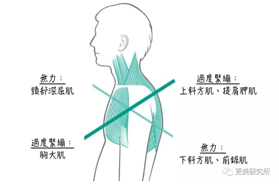 张子枫|曾被关晓彤秒成渣，如今“整容式”长大，削掉斜方肌后美翻
