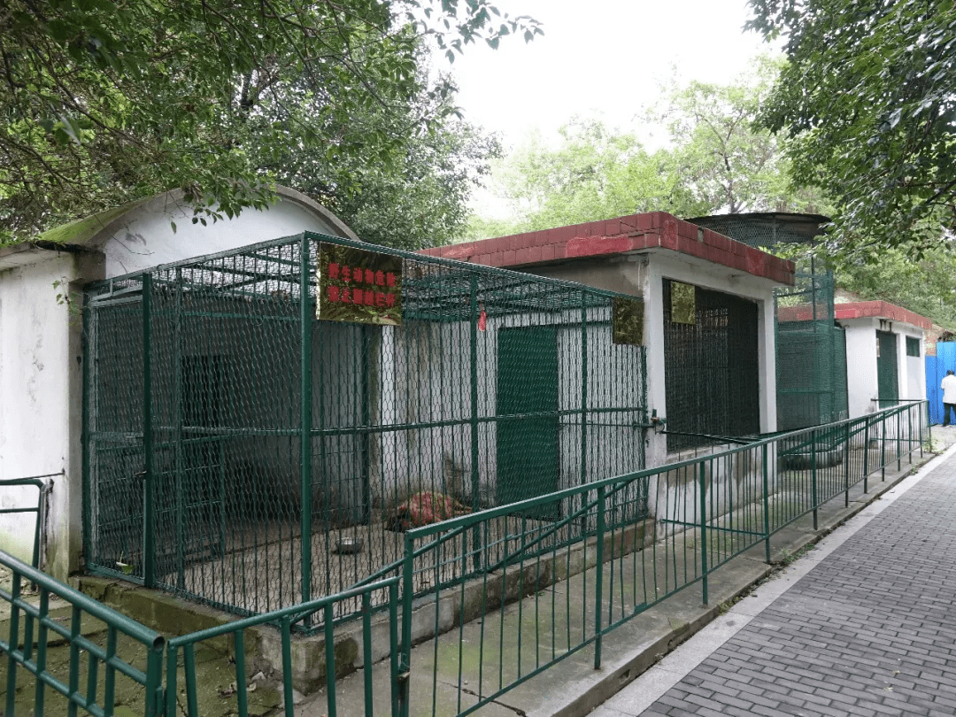 寻找记忆中的动物园盐城市人民公园动物园