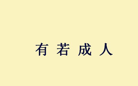 成语病什么是国_这是什么成语看图(2)