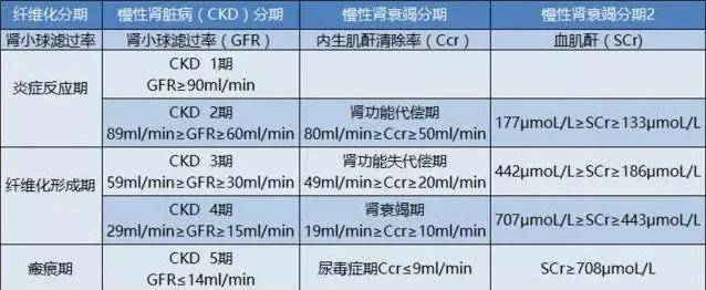 判断肾损伤,只盯着血肌酐指标?不靠谱!_手机搜狐网