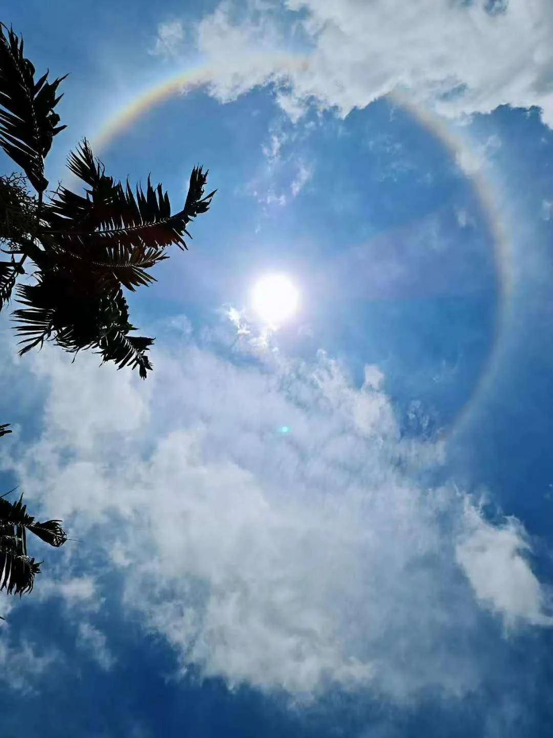 异象|突发!新加坡天降异象,绝美日晕刷屏了~(多图+视频)