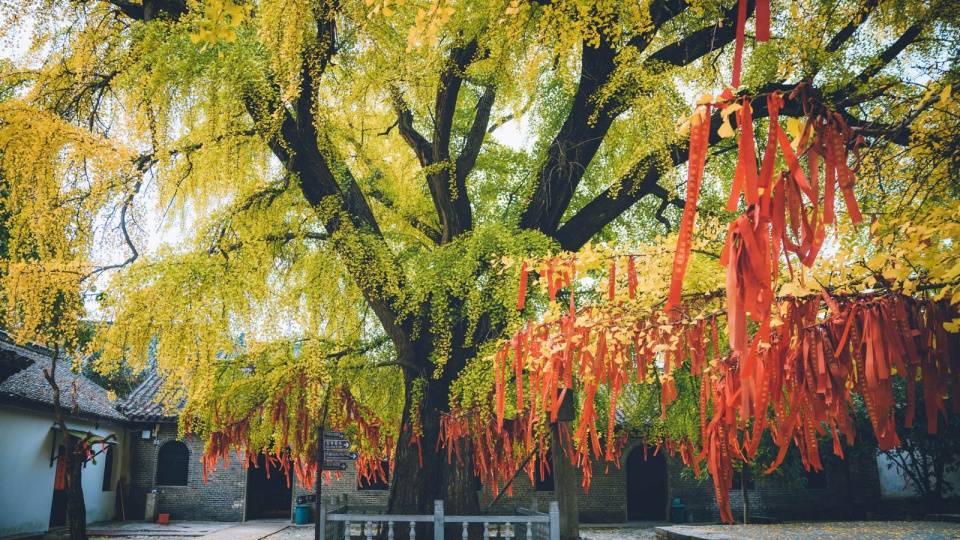 禅寺|江淮大地上的千年古刹，为何其他季节默默无闻，秋季游客络绎不绝