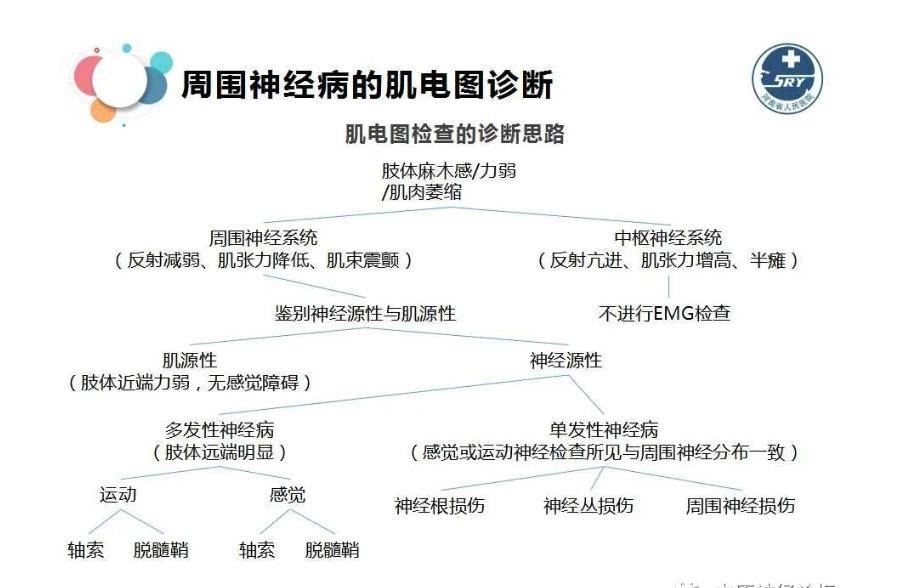 肌电图周围神经病与肌电图诊断