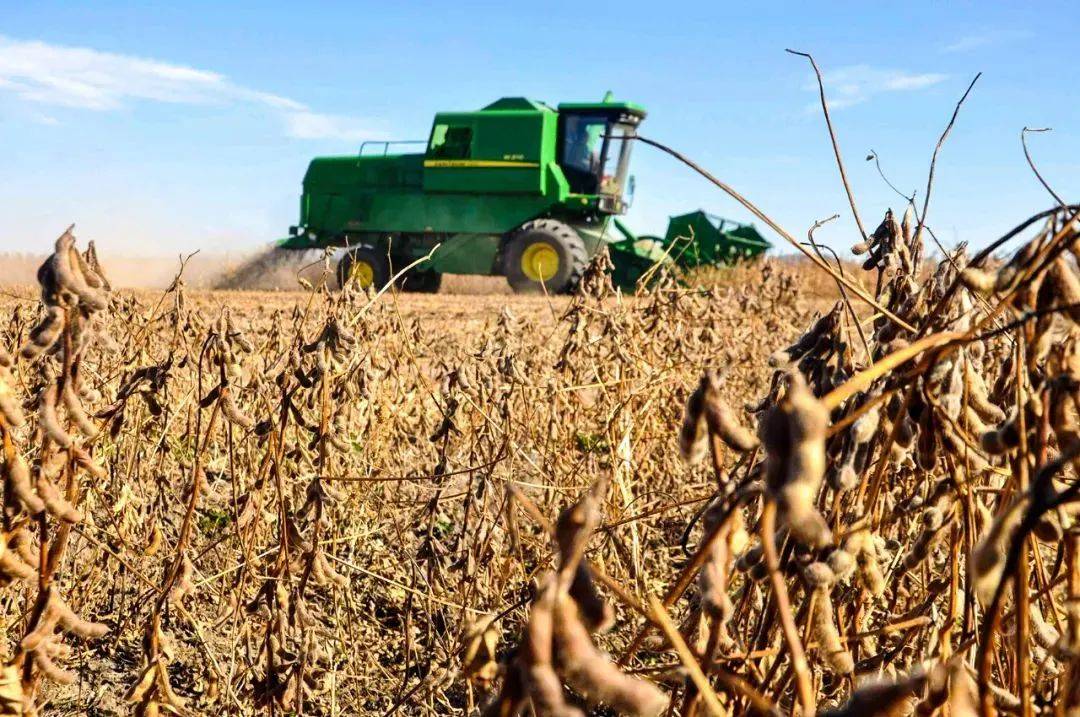 食品|我国或建设国家级大豆种子生产基地；华文食品面临品类单一风险