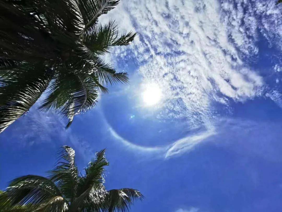 异象|突发!新加坡天降异象,绝美日晕刷屏了~(多图+视频)