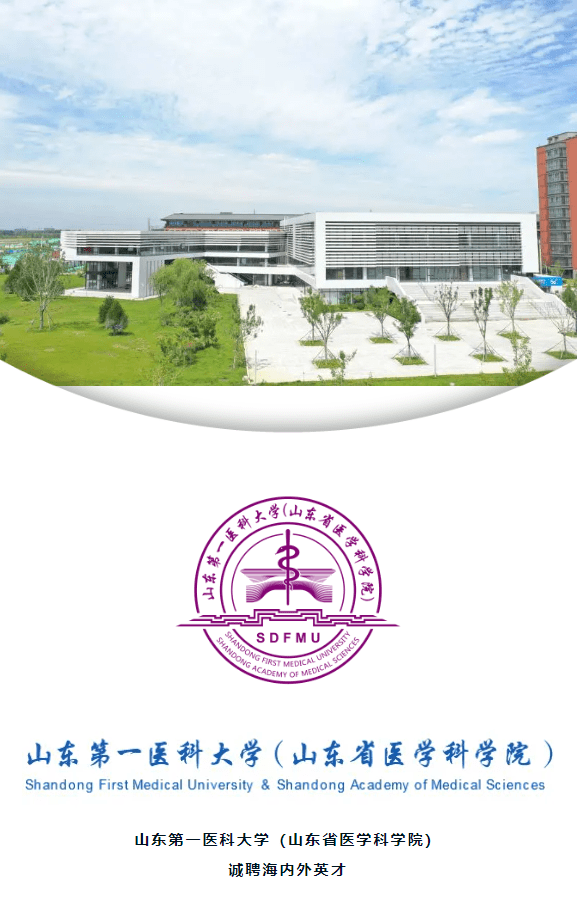 山东|冲一流！这所倍受期待的新大学开放人才加盟通道