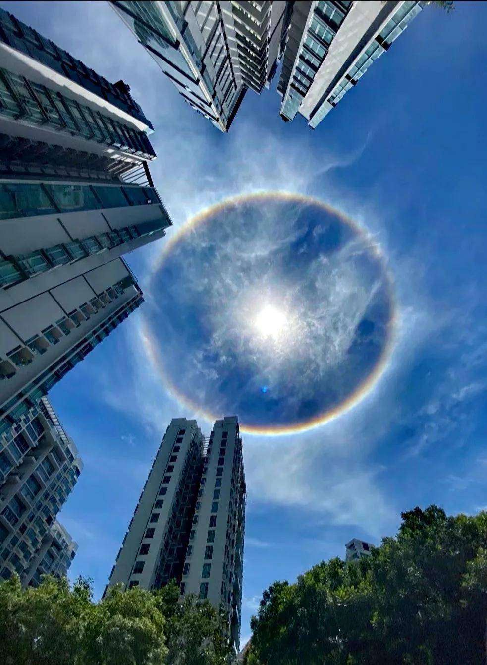 异象|突发!新加坡天降异象,绝美日晕刷屏了~(多图+视频)