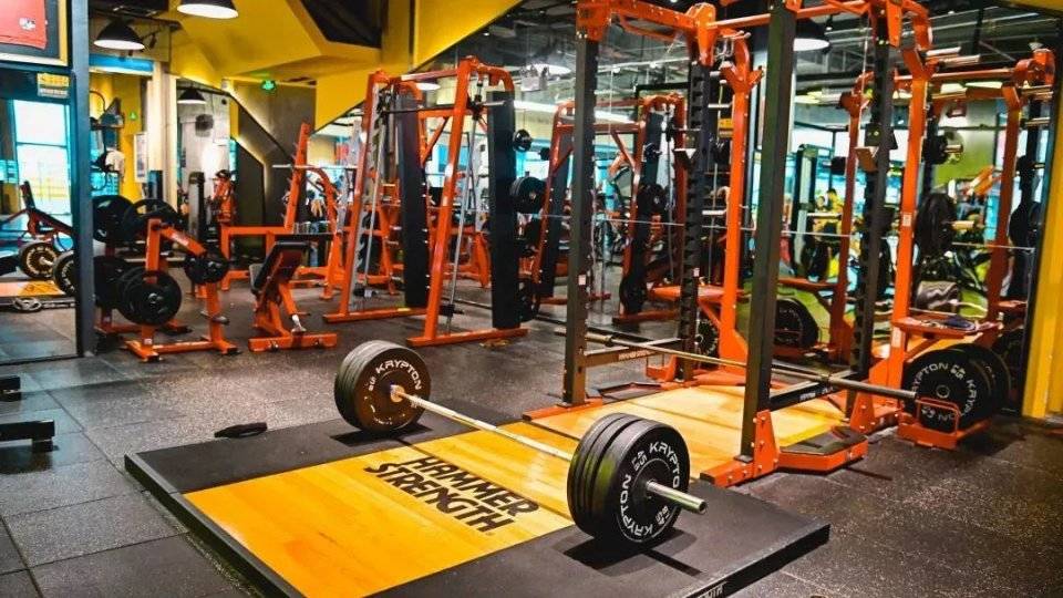 指导|健身双周卡,游泳,滑雪!全部拥有!