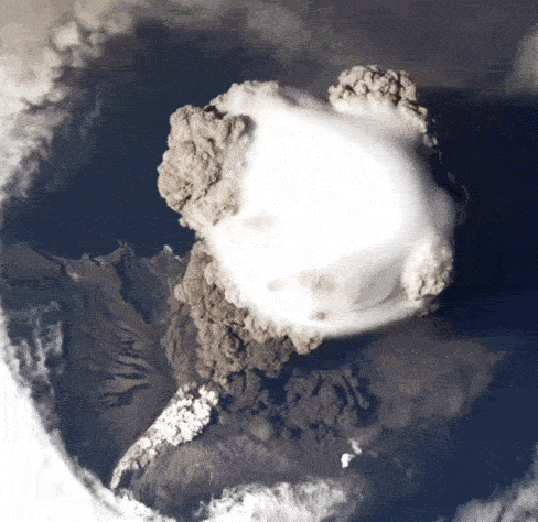 观点评论|天猫家装的本地化营销战事