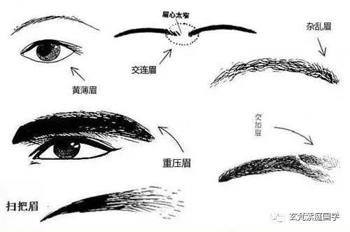 国外专家研究证明中国面相学的科学性!干货值得收藏!
