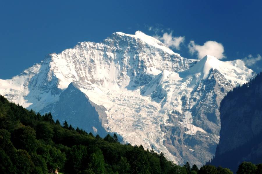 http://p6.itc.cn/images01/20200923/bb4dc9b0f0584e6e876cbca6e25dc7c2.jpeg