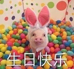 f8ed58f68ea7416c806de042ba787456.jpeg