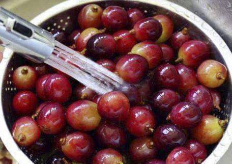 做法|何不自酿葡萄酒品味，做法详细教你，美味极了葡萄丰收的季节