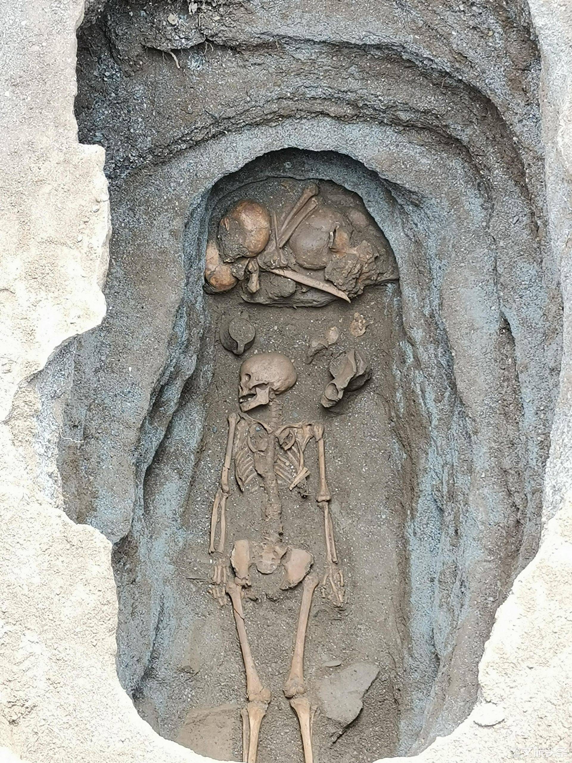丽江"为都古墓群"考古出土商周时期遗物1000余件,还引出新发现.