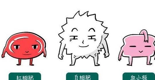 文章配图-3