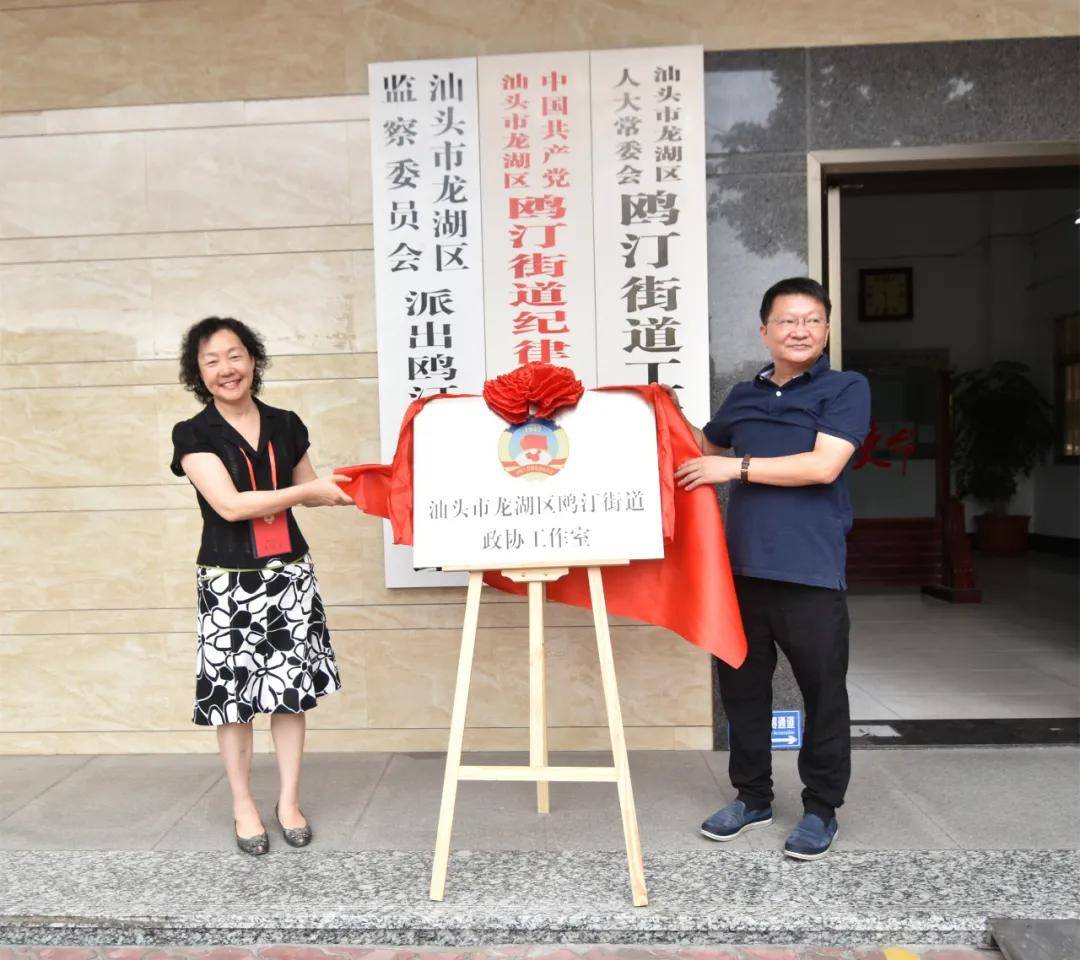 副主席王颖,鸥汀街道党工委书记杨培斌,龙华街道党工委书记吴绍佳