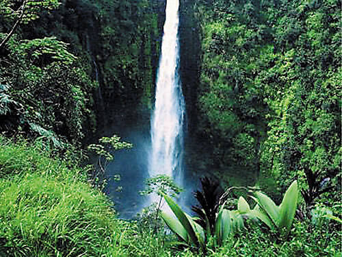 2020年宁夏高职院校_宁夏:2020年高职院校扩招专项考试招生考生报名工作