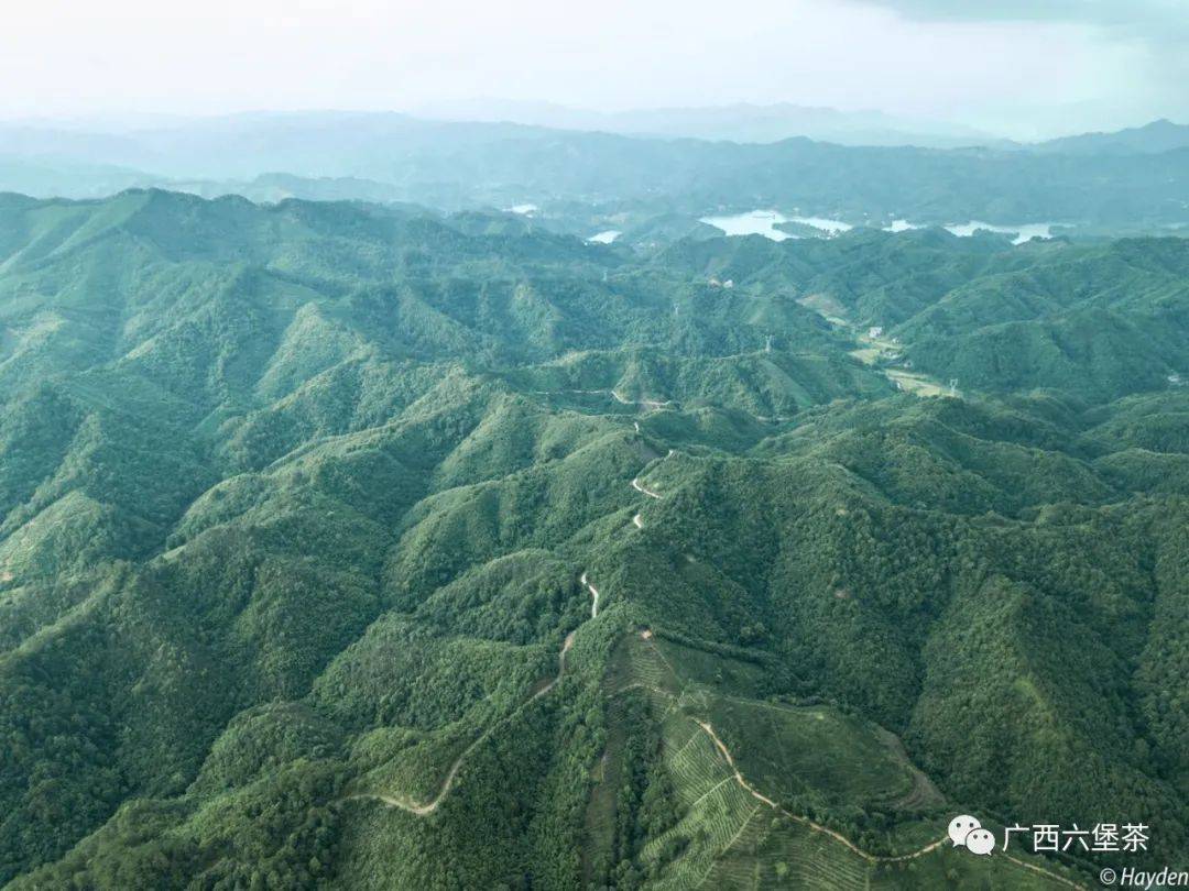 六堡镇人口多少_六堡镇旅游景点