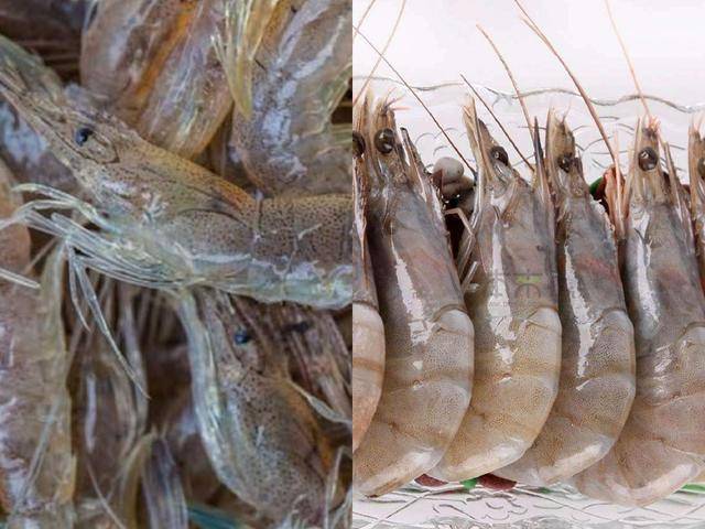 原创海虾和河虾的区别是什么记住4点分清海虾和河虾别再买错了