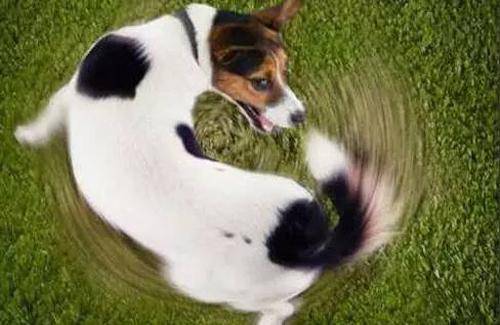 a6b25984dfab409a8daeca95bb17f0c1.jpeg