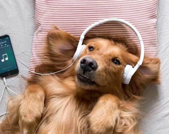 eefa2a651b9e4caf9fc83d16c01d0a71.jpeg