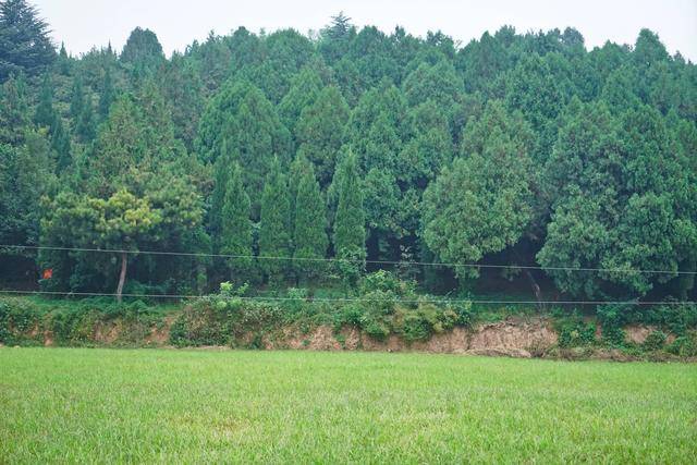 杨凌|1400年前的皇帝陵墓、住着守陵人的小村庄，陕西杨凌不简单