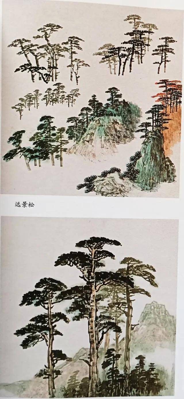 国画技法松树的各种画法图解