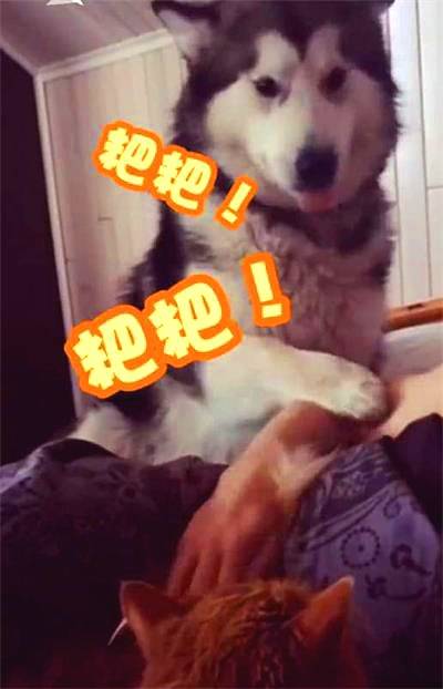 5ae54bcbfc7a4f6d893848c6458ca9f3.jpeg