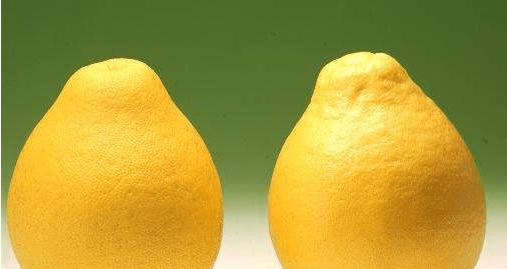 怎么挑选柚子正确的方法 a8a89ff3d5cb4d2aa51ac337e938202b.png