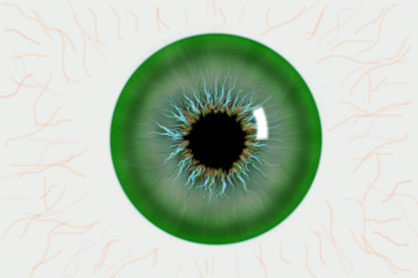 c2e1cbc9c2664171af19eb4581f694b1.png