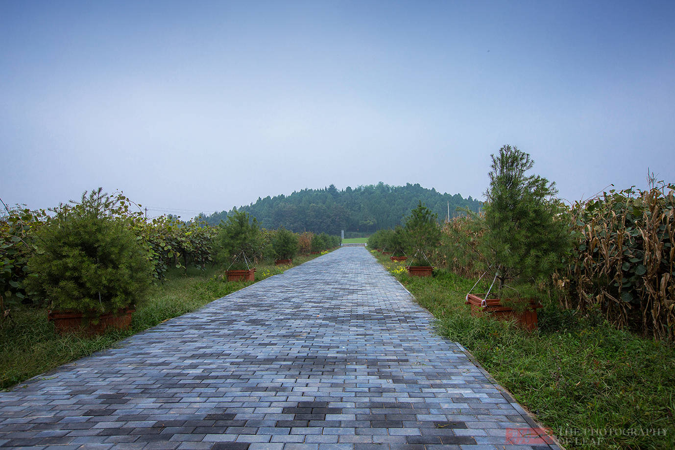 隋文帝|隋朝开国皇帝杨坚的陵墓，规模宏大一千多年未被盗，据说和墓傍守陵人有关
