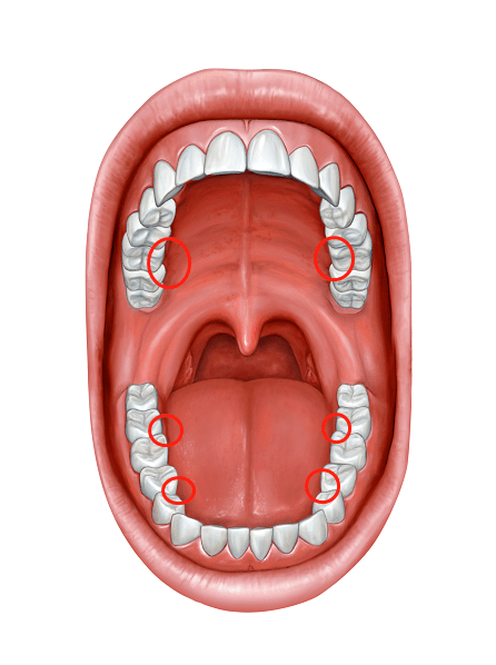吃货|做快乐的吃货,从拥有美的电动牙刷开始