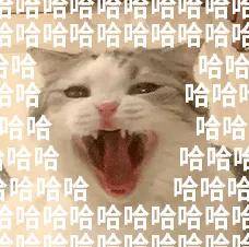 李沁|原创李沁杨洋复合了？那乔欣怎么办啊？