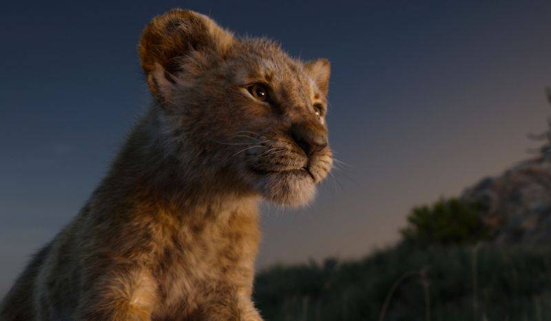 《狮子王2》提上日程，巴里·杰金斯将担任导演_故事