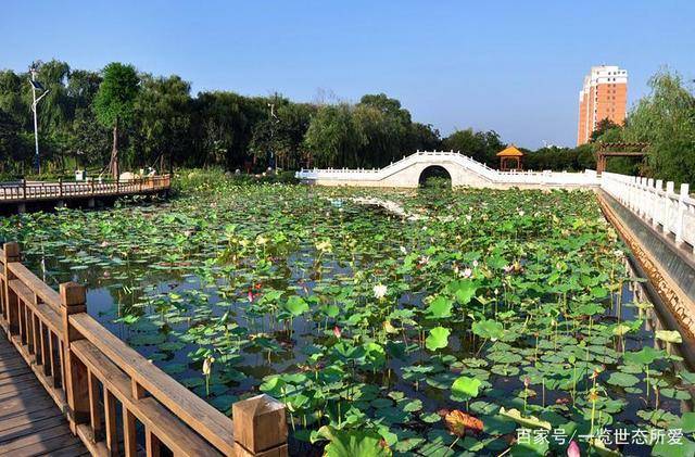 河南2020gdp县城_河南县城照片