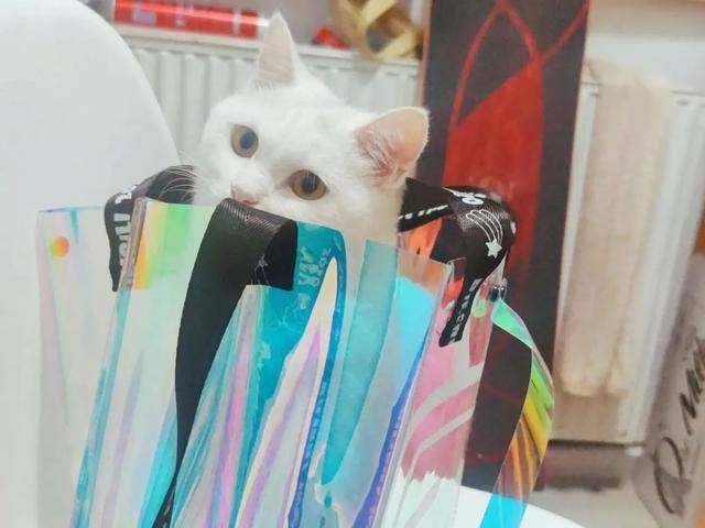 礼盒|开箱大赏，这届互联网月饼行不行？