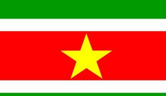 苏里南共和国多少人口_苏里南共和国位置地图(3)