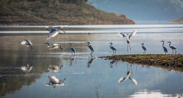 辽宁辽阳各区GDP_辽宁辽阳高晴(2)
