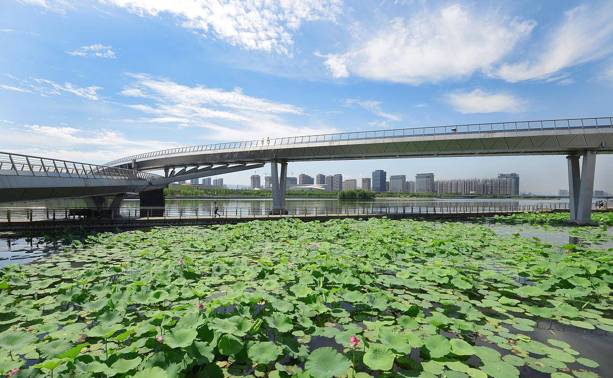 遵义GDP破4000_洛阳GDP突破4000亿元(2)