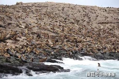 秘鲁经济总量_秘鲁经济