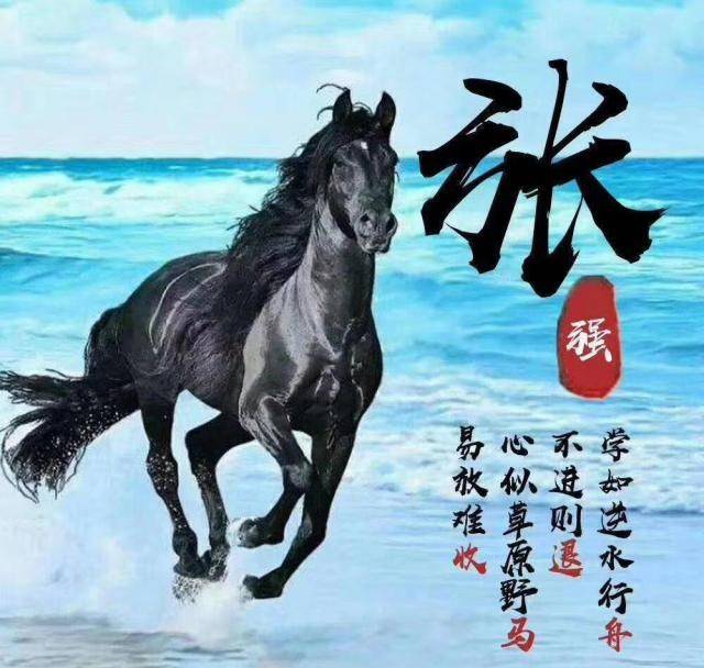 做人要自信!一组万马奔腾签名姓氏头像,祝大家财源滚滚
